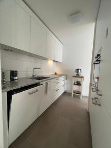 巴塞尔Best located & fully equipped apartment at Basel SBB main station的白色的厨房配有水槽和冰箱