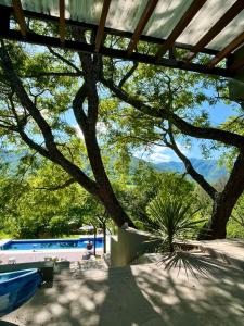 萨尔塔Casa Quincho ROMA的游泳池前的树