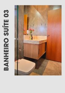 奥林匹亚Recanto dos três Amores的一间带水槽、卫生间和镜子的浴室