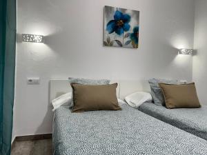 贝赫尔-德拉弗龙特拉Casa Patio Paraíso的一间卧室配有一张带两个枕头的床