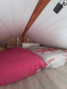 Viuz-en-Sallaz5 min des pistes de ski Grand studio mezzanine的一张床上,床上有粉红色的毯子