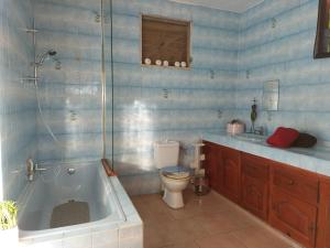 大博格Chambre avec terrasse vue mer的带浴缸、卫生间和盥洗盆的浴室