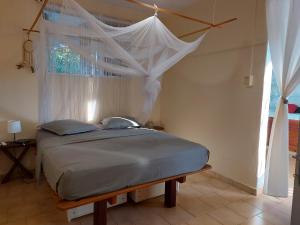 大博格Chambre avec terrasse vue mer的一间卧室配有一张带天蓬和窗户的床