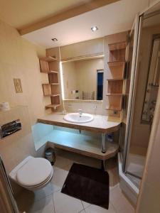 穆希纳Apartament pod Basztą的一间带水槽、卫生间和镜子的浴室