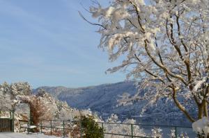 安嫩海姆Jaeger Guesthouse的雪覆盖的树,享有湖景