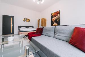 科希策Modern living in city centre的客厅配有灰色沙发和红色枕头
