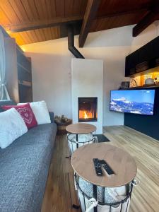 格施塔德Gstaad Chalet的带沙发和壁炉的客厅