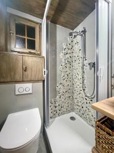 格施塔德Gstaad Chalet的一间带卫生间和淋浴的浴室
