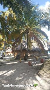 Wagsalatupo GrandeCabaña tradiconal en isla Perro chico San blas的沙滩上的棕榈树