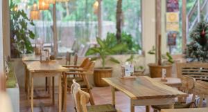 蓝梦岛Risna Homestay的餐厅设有木桌和椅子,种有植物