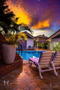 大安塞Hotel Plein Soleil的棕榈树泳池旁的椅子