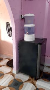博卡拉HIMALAYAN AAMA APARTMENT的紫色墙壁上电视