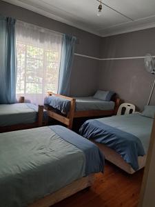 彼得马里茨堡PMB Backpackers Lodge的一间卧室设有三张床和窗户。