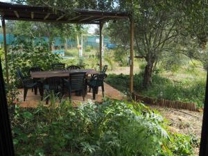 EstevaisTiny house eco resort的花园的天篷下木桌和椅子