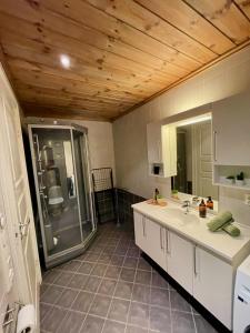 GaustablikkGausta Lodge med 6 sengeplasser i nærhet til Gaustatoppen的带淋浴、两个盥洗盆和镜子的浴室