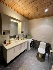 GaustablikkGausta Lodge med 6 sengeplasser i nærhet til Gaustatoppen的一间带卫生间和洗衣机的浴室
