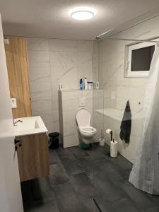 De KielBoerenkiel Vakantiehuisjes的一间带卫生间和水槽的浴室