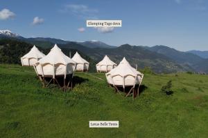 KhuloGlamping Tago的草场上的一排白色帐篷