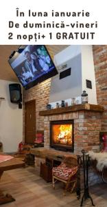 斯塔纳德瓦勒Cabana Patru Brazi的客厅设有壁炉和电视。