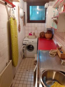 巴特萨尔茨乌夫伦Ruhiges Ferienhaus im Garten的一个带水槽和洗衣机的小厨房