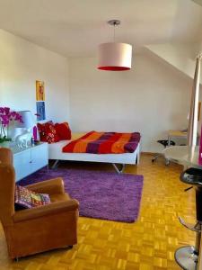 巴塞尔Ganze Wohnung mit Balkon,schöne Aussicht,Küche,Bad,Wifi的一间卧室配有一张床、一张沙发和一把椅子