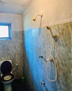 汉班托塔Hamba Hostel for Safari的带淋浴和卫生间的浴室