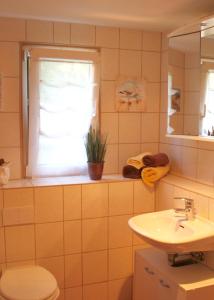 柯尼希施泰因易北Annis- Romantikhäuschen的一间带卫生间、水槽和窗户的浴室