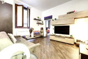 佛罗伦萨Geppi's Apartments的带沙发和平面电视的客厅