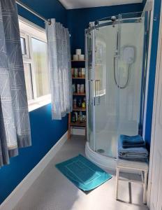 欧弗斯特兰德The Flat at Conway House的蓝色的浴室设有淋浴和凳子