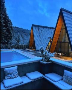 帕弗兰尼Pavliani4rest - Luxury Cabins的雪中带游泳池的房子