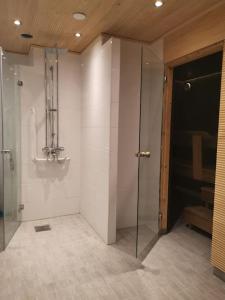 罗瓦涅米Rovaniemi - quality detached house with sauna nearby services的带淋浴的浴室和玻璃门