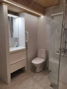 罗瓦涅米Rovaniemi - quality detached house with sauna nearby services的浴室配有卫生间、盥洗盆和淋浴。
