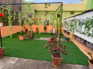 JagdalpurMorla’s villa的一座庭院,里面种有绿色的草和植物