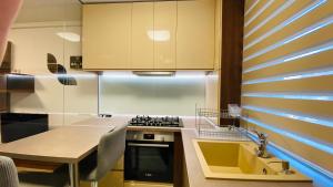 ChiajnaApartament modern -mobilat nou的厨房配有水槽和炉灶 顶部烤箱