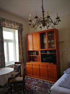 格蒙登奥地利加科尼尔酒店式一室公寓的一间卧室设有大型木柜和电视