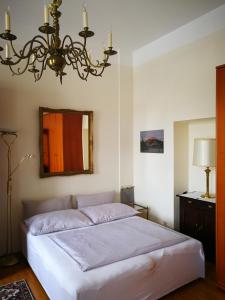 格蒙登奥地利加科尼尔酒店式一室公寓的一间卧室配有一张带镜子和吊灯的床。