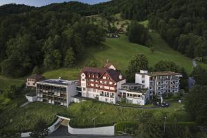 WalchwilZentrum Elisabeth - convalescent hotel, Kurhotel的山丘上建筑物的空中景观