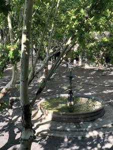 于泽斯La bohème place aux herbes的公园中间的喷泉,有树
