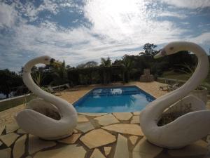 德尔菲诺波利斯Chalé Praia Vermelha 1的两个天鹅雕像坐在游泳池旁