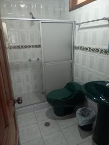 PaloraFinca La Esperanza的浴室配有绿色卫生间和水槽。