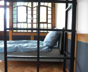 萨尔布吕肯Historisches Haus am Triller的窗户客房内的一张黑色双层床