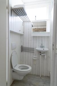 滨海卡特韦克Willy Zuid的一间带卫生间和水槽的浴室