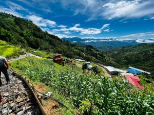 MahānkālSindhu Organic Agro And Farmstay的站在山丘上看农场的人