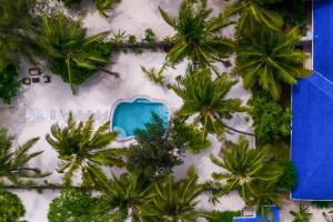 布韦朱RoRi Private Luxury Villas的享有棕榈树海滩和游泳池的顶部景色