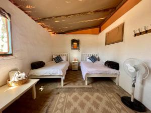 UisDaureb Isib Campsite and B&B的客房设有两张床和风扇。
