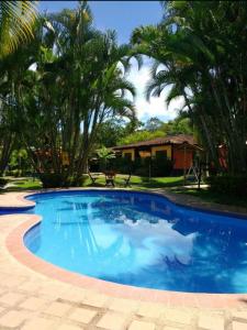 蒙特内哥罗Alojamiento rural finca estrella del Quindío的一座种植了棕榈树的大型蓝色游泳池