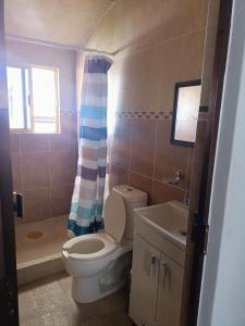 底拉斯卡拉Hostal Mago的浴室配有卫生间、盥洗盆和淋浴。