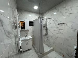 博尔若米Villa Borjomi的带淋浴和盥洗盆的白色浴室