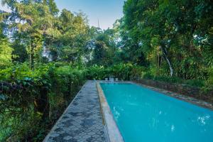 DeraniyagalaUdapola Bungalow的花园内的游泳池