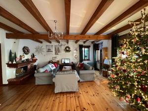 StudzieniceStraszny dom na Kaszubach的客厅里放着圣诞树